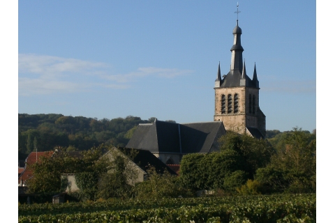 L'église, vue du vignoble