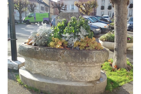 Fontaine à droite de la Mairie